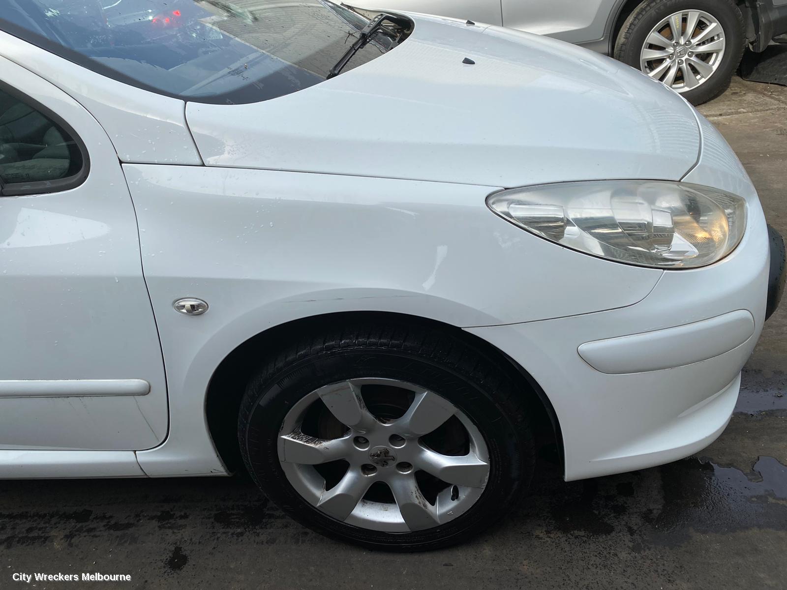 PEUGEOT 307 PARTICULATE FILTER/DPF
