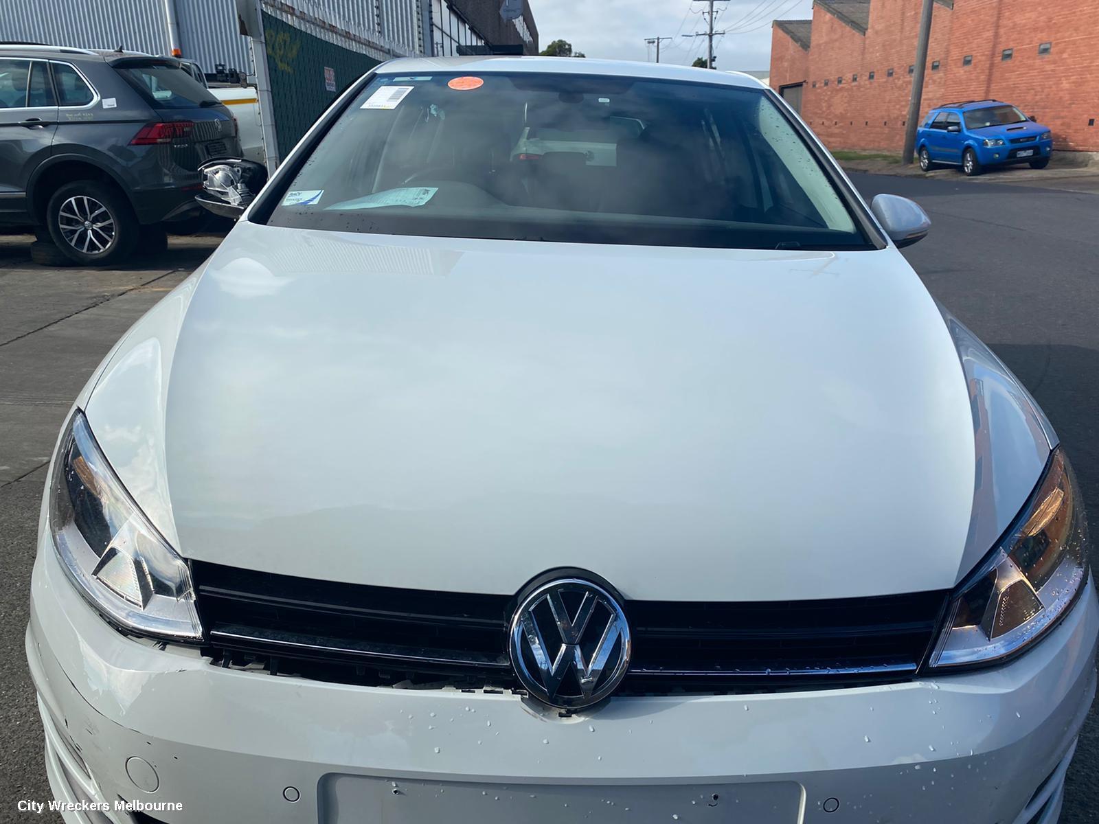 VOLKSWAGEN GOLF LEFT REAR STRUT, ***USE SHOCK ABSORBER PART TYPE***