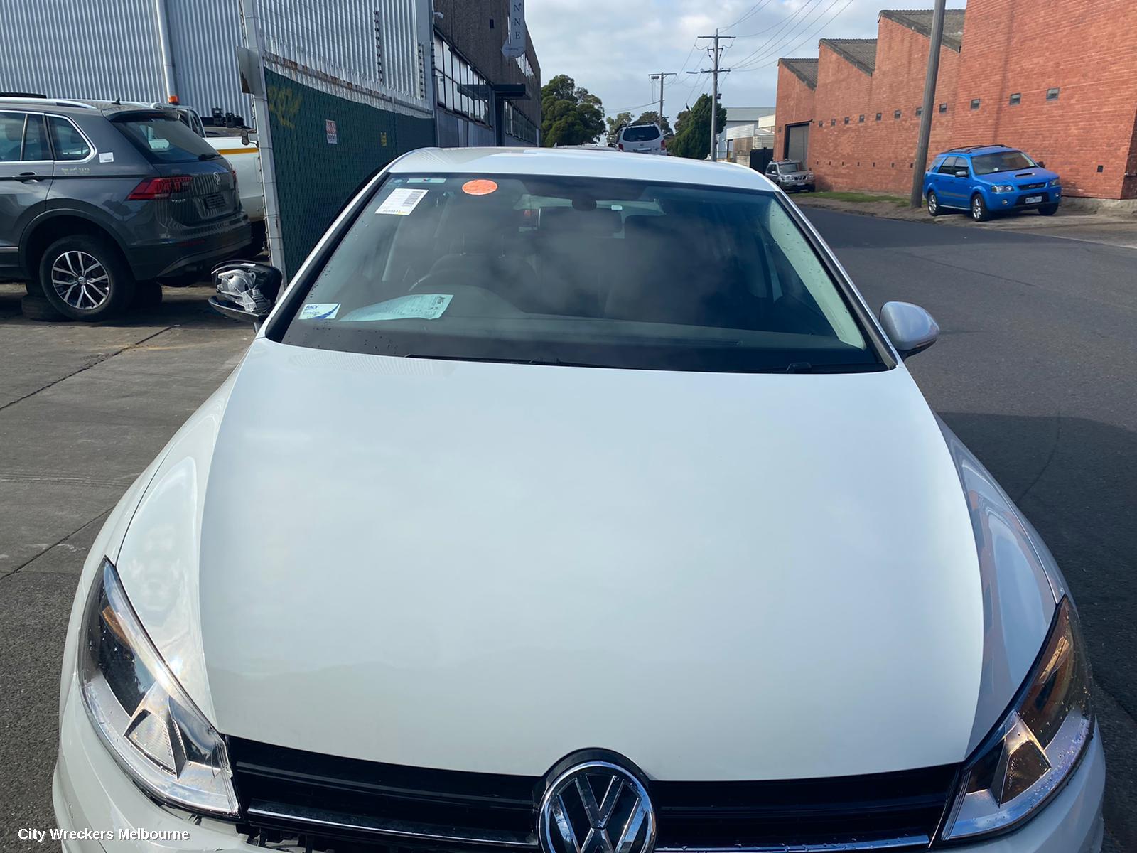 VOLKSWAGEN GOLF LEFT REAR STRUT, ***USE SHOCK ABSORBER PART TYPE***