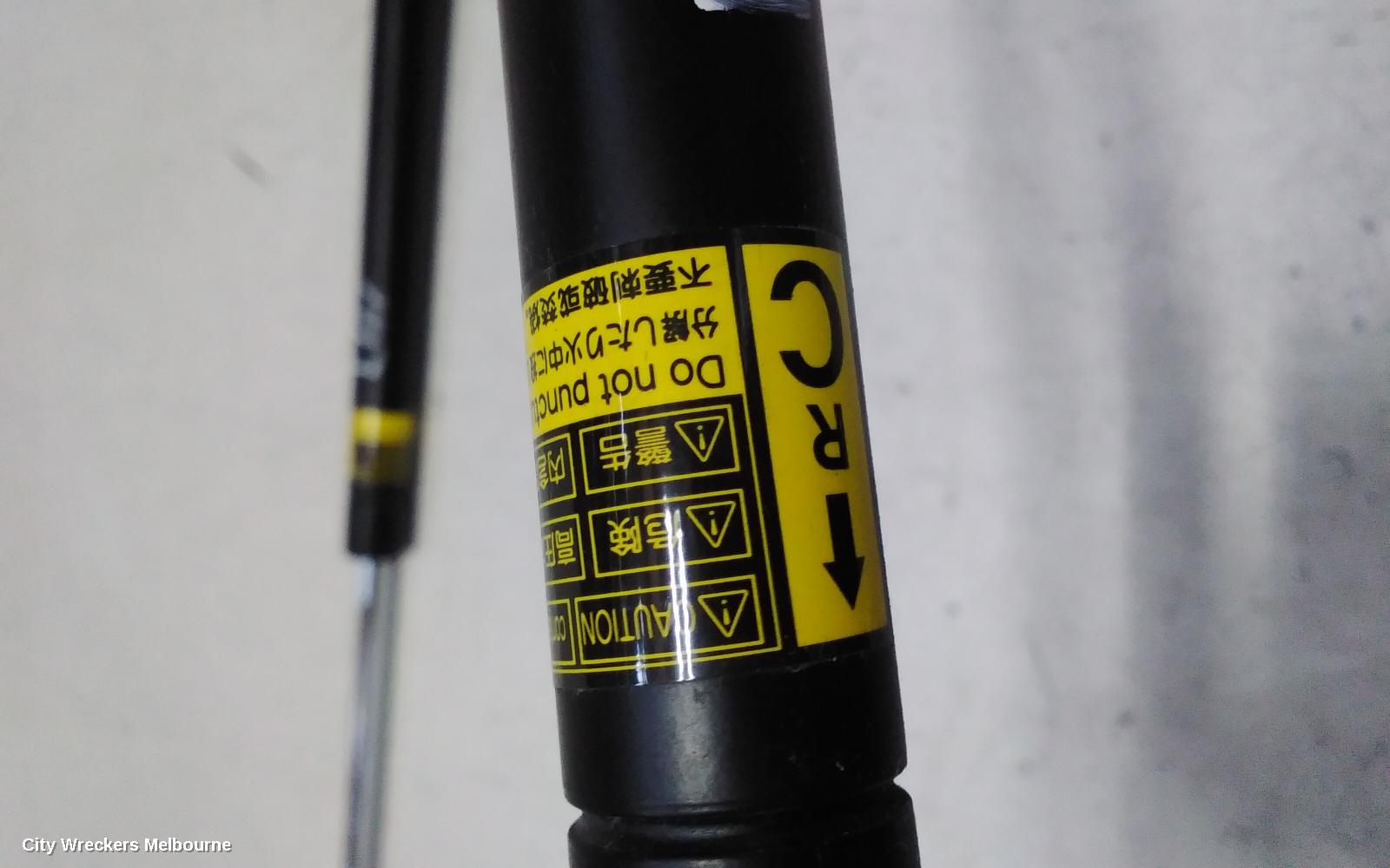 TOYOTA ESTIMA HATCH STRUT, XR50, 05-19