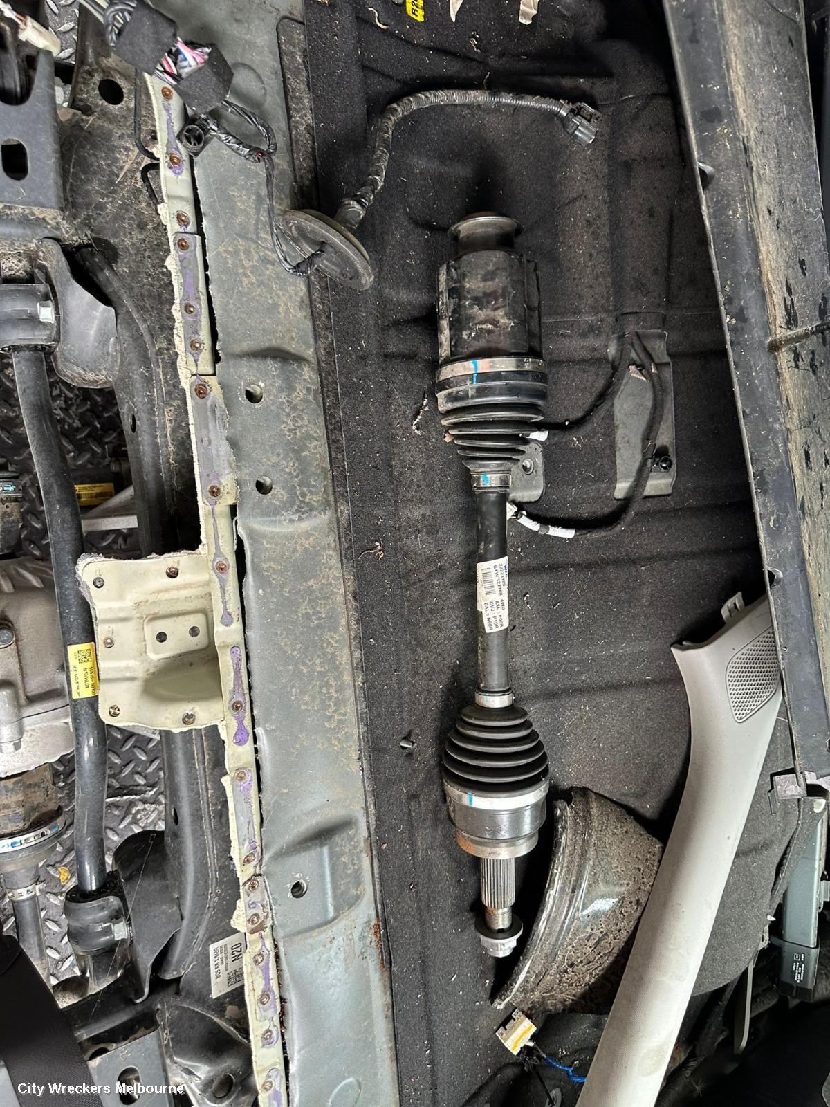KIA SPORTAGE REAR COIL SPRING, NQ5, 09/2021 ONWARDS