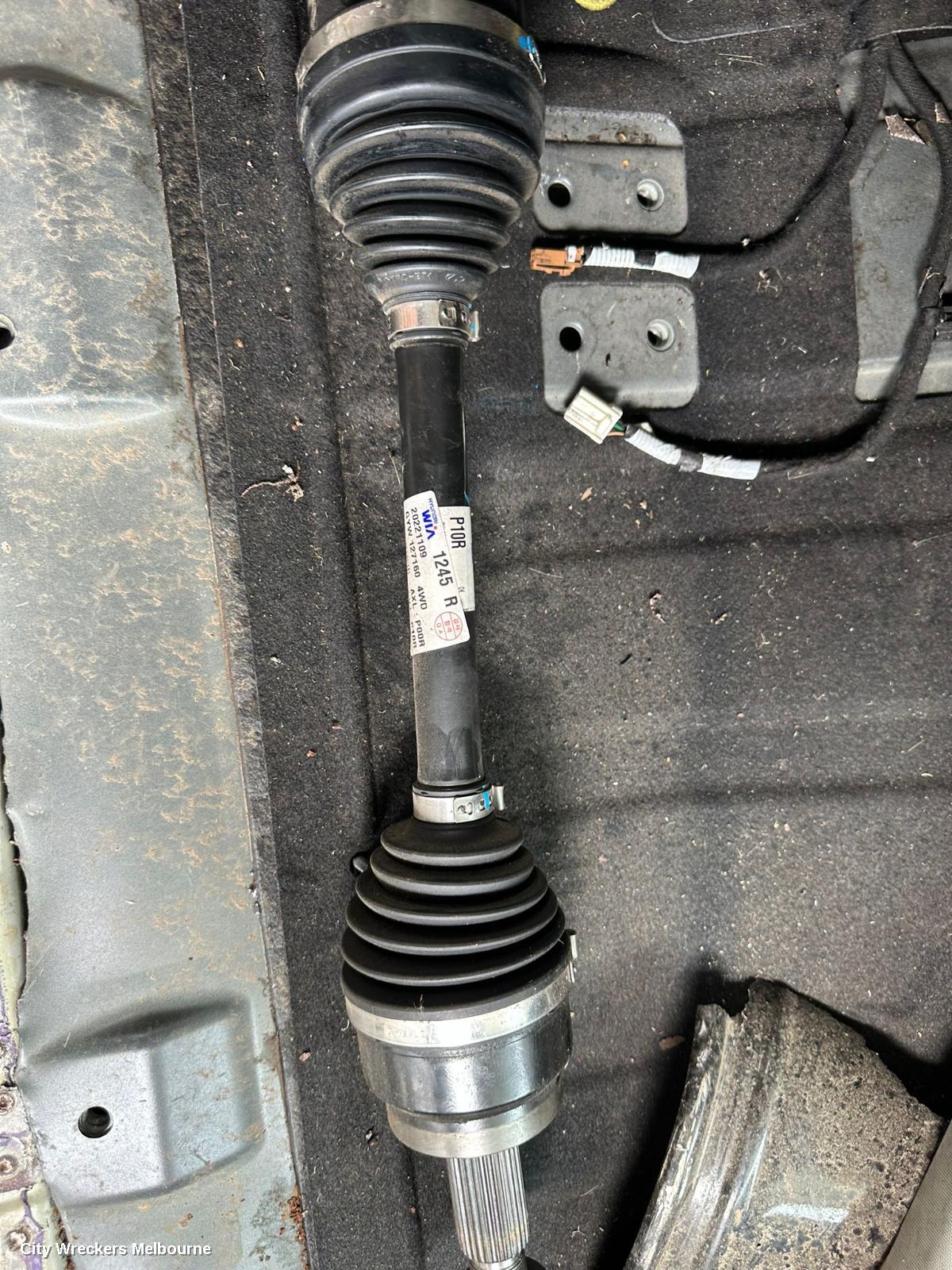 KIA SPORTAGE REAR COIL SPRING, NQ5, 09/2021 ONWARDS