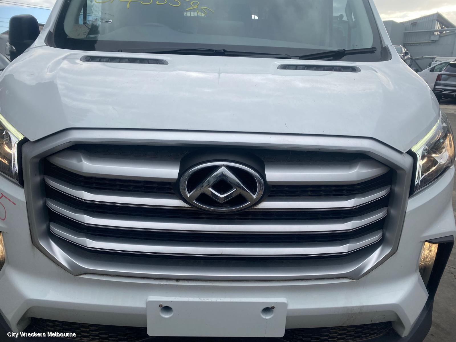 LDV DELIVER 9 DOOR/BOOT/GATE LOCK, LEFT BARN DOOR LOCK, LOWER, 07/2020 ONWARDS