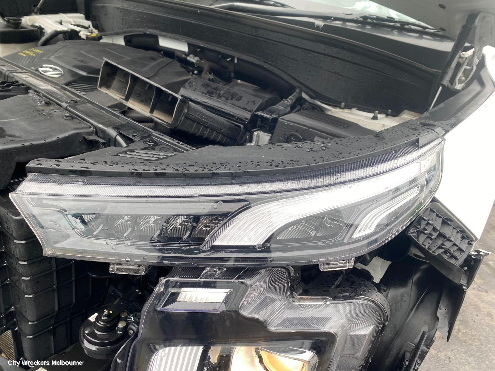 HYUNDAI PALISADE BOOTLID/TAILGATE, LX2, TAILGATE, POWER TYPE, 07/2020 ONWARDS