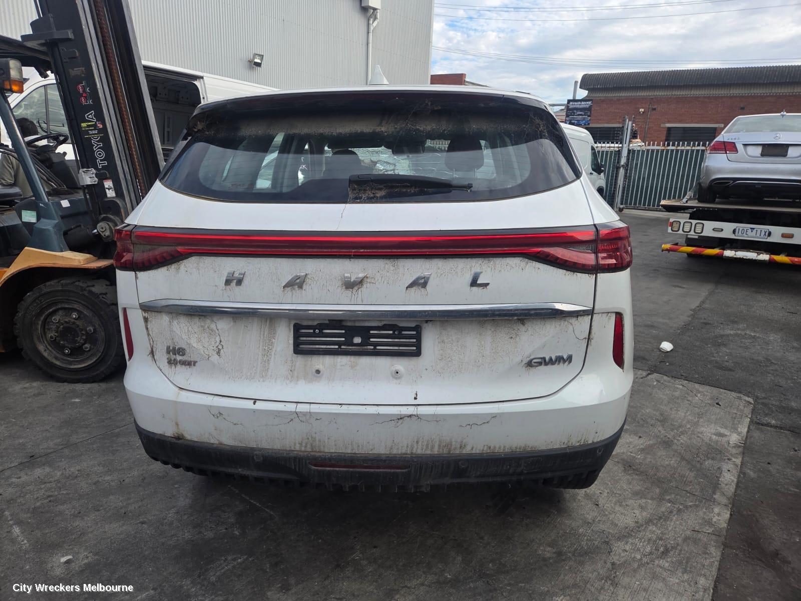 HAVAL H6 BOOTLID/TAILGATE, B01, TAILGATE, NON HEV, 02/2021 - 04/2025