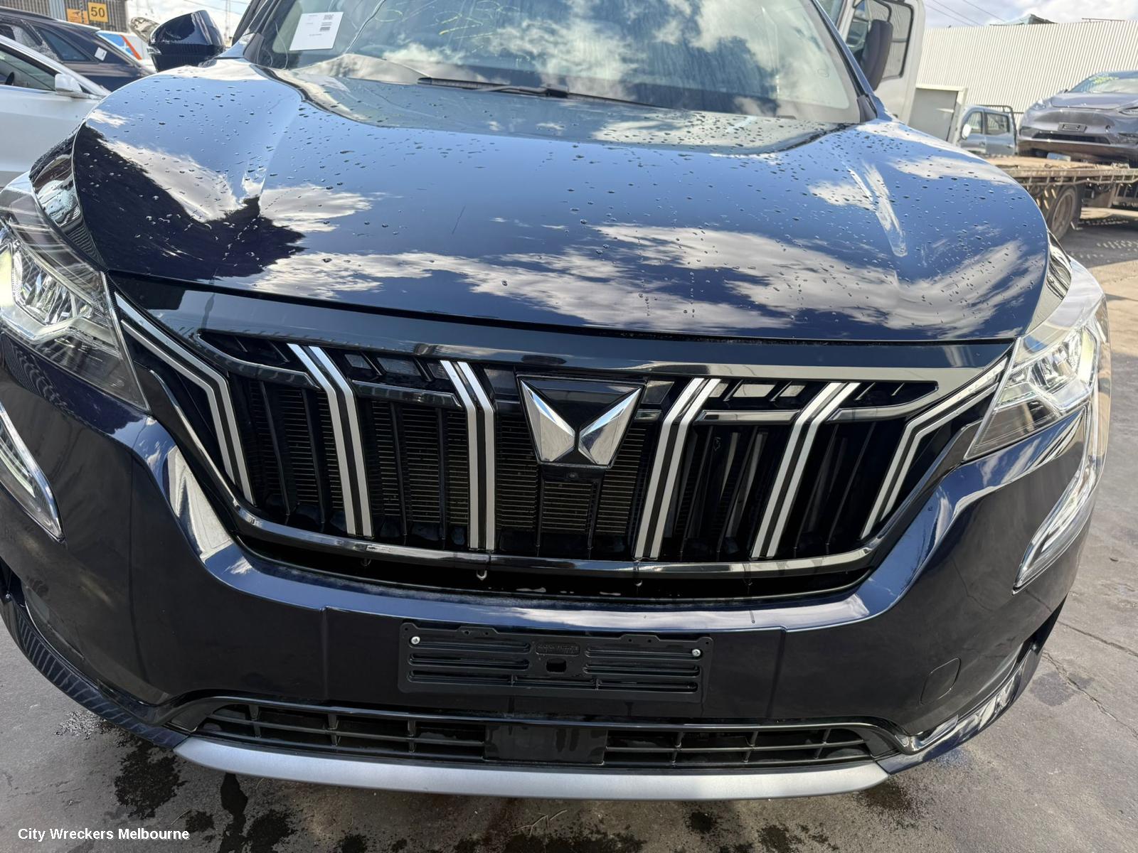 MAHINDRA XUV700 HEADREST, W601, 01/2023 ONWARDS