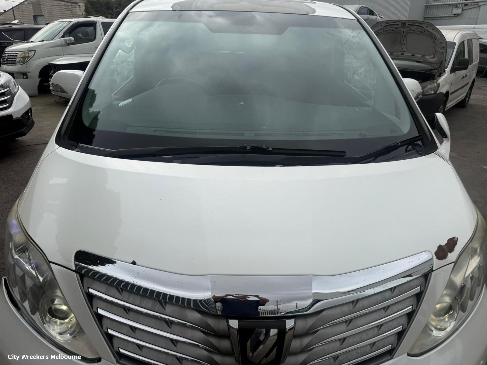 TOYOTA ALPHARD LEFT FRONT STRUT, 20 SERIES, 08-15 (IMPORT)