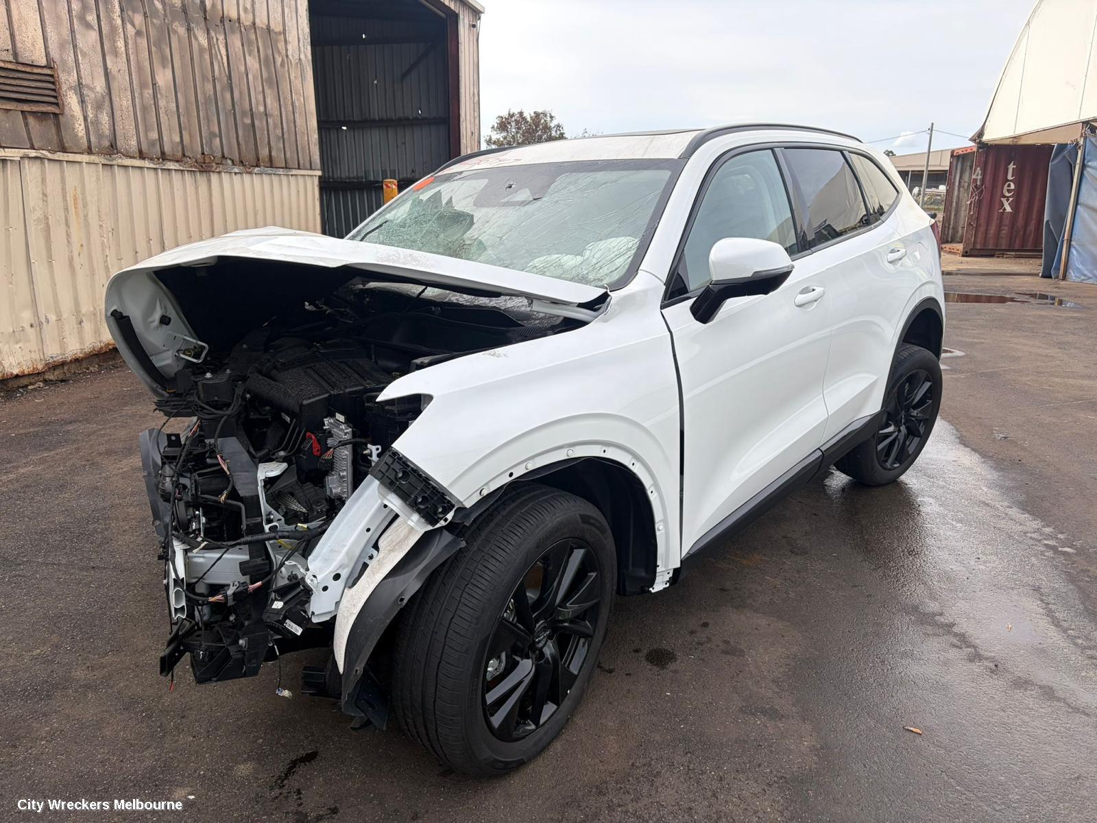HAVAL H6 BOOTLID/TAILGATE, B01, TAILGATE, 05/2025 ONWARDS