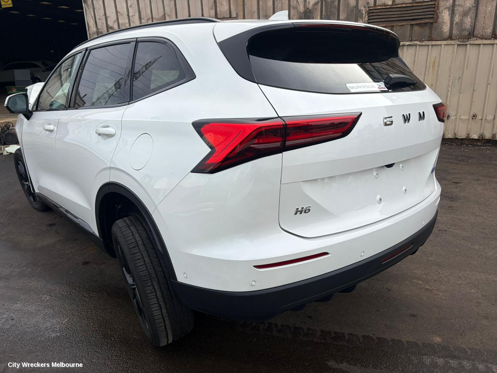 HAVAL H6 BOOTLID/TAILGATE, B01, TAILGATE, 05/2025 ONWARDS