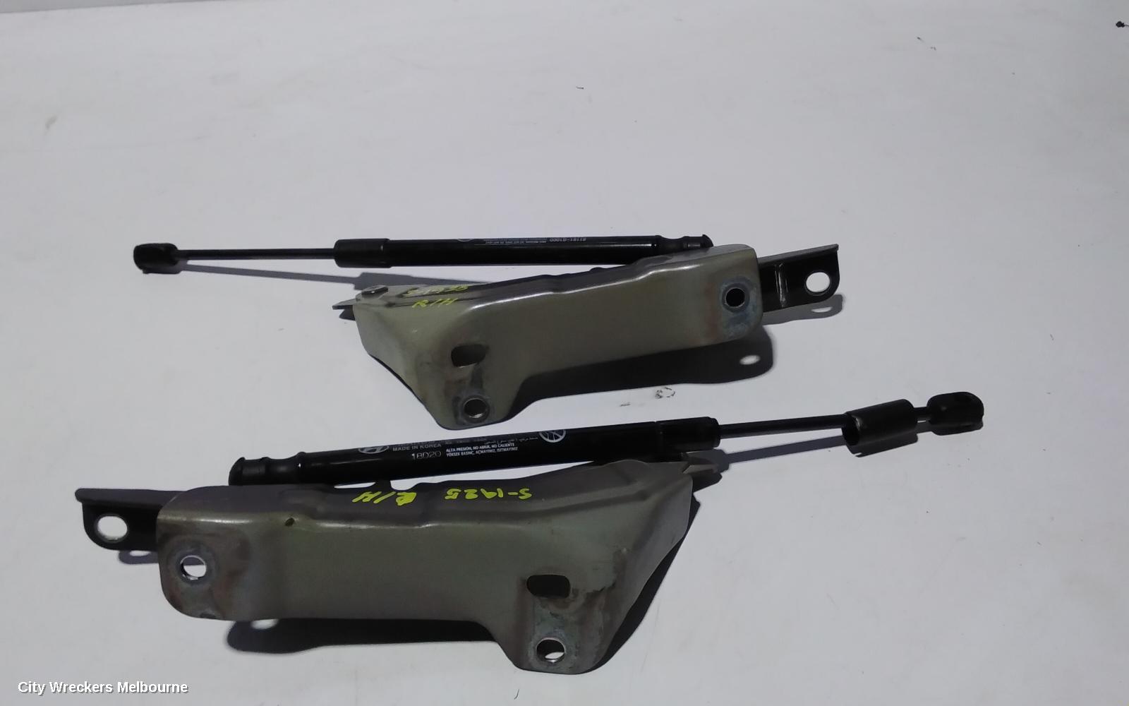 HYUNDAI SANTA FE BONNET HINGE/STRUT, HINGES (PAIR), TM, 03/2018 - 02/2020